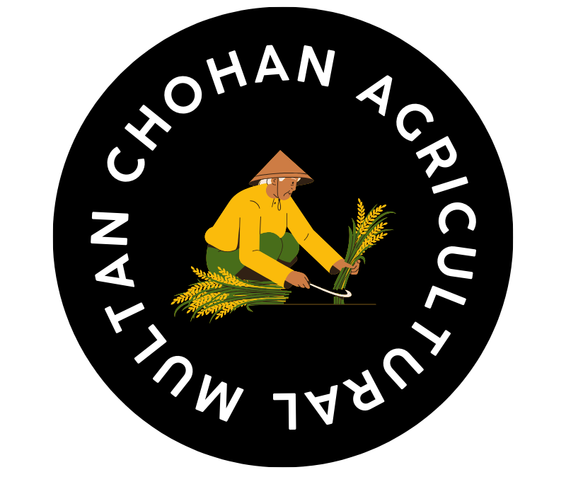 Chohan Agricultural Multan